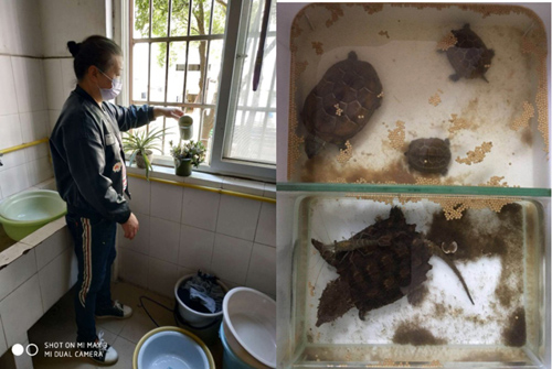 IE浏览器中点击图片可全屏显示